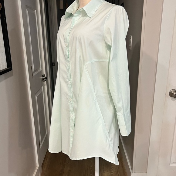 INAE collection light mint generous fit buttoned down long sleeve shirt dress - Picture 8 of 17